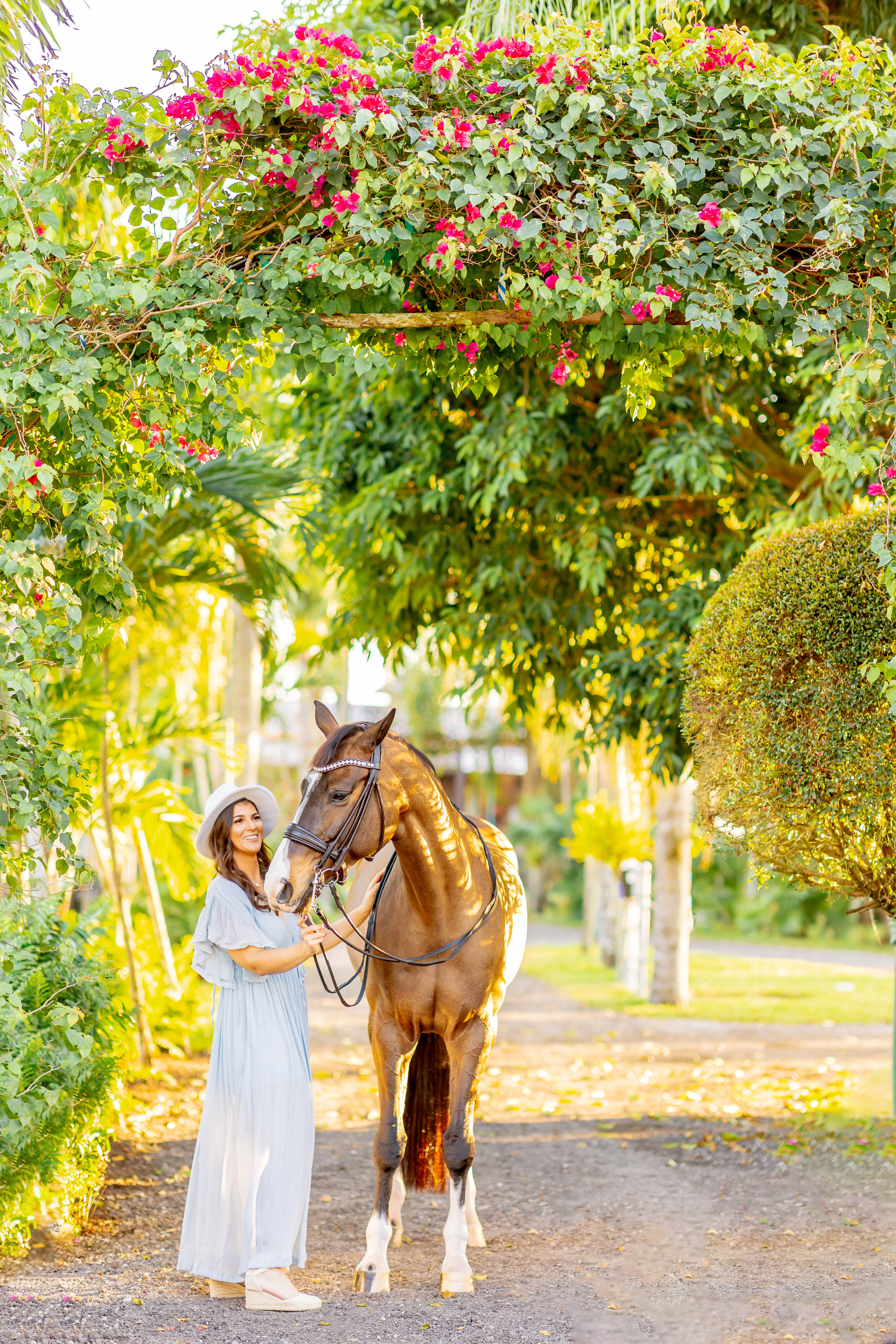 Horse nuzzling rider
