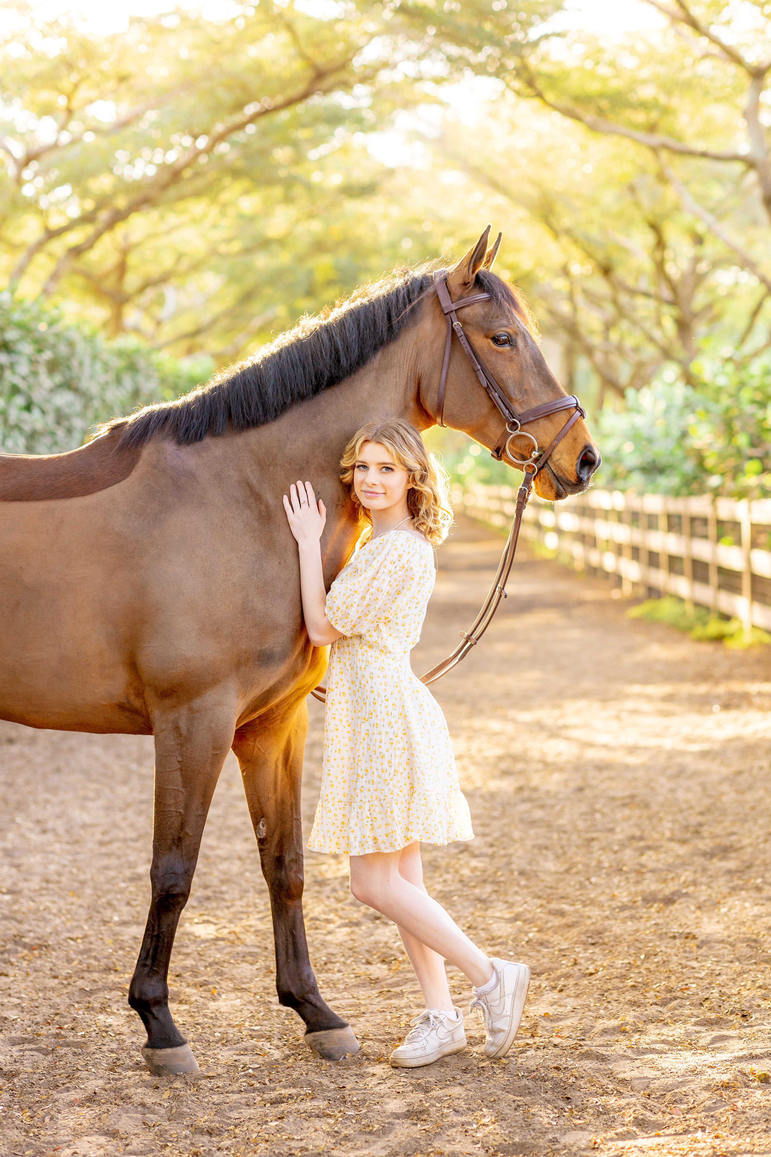 Equestrian portrait of horse and rider