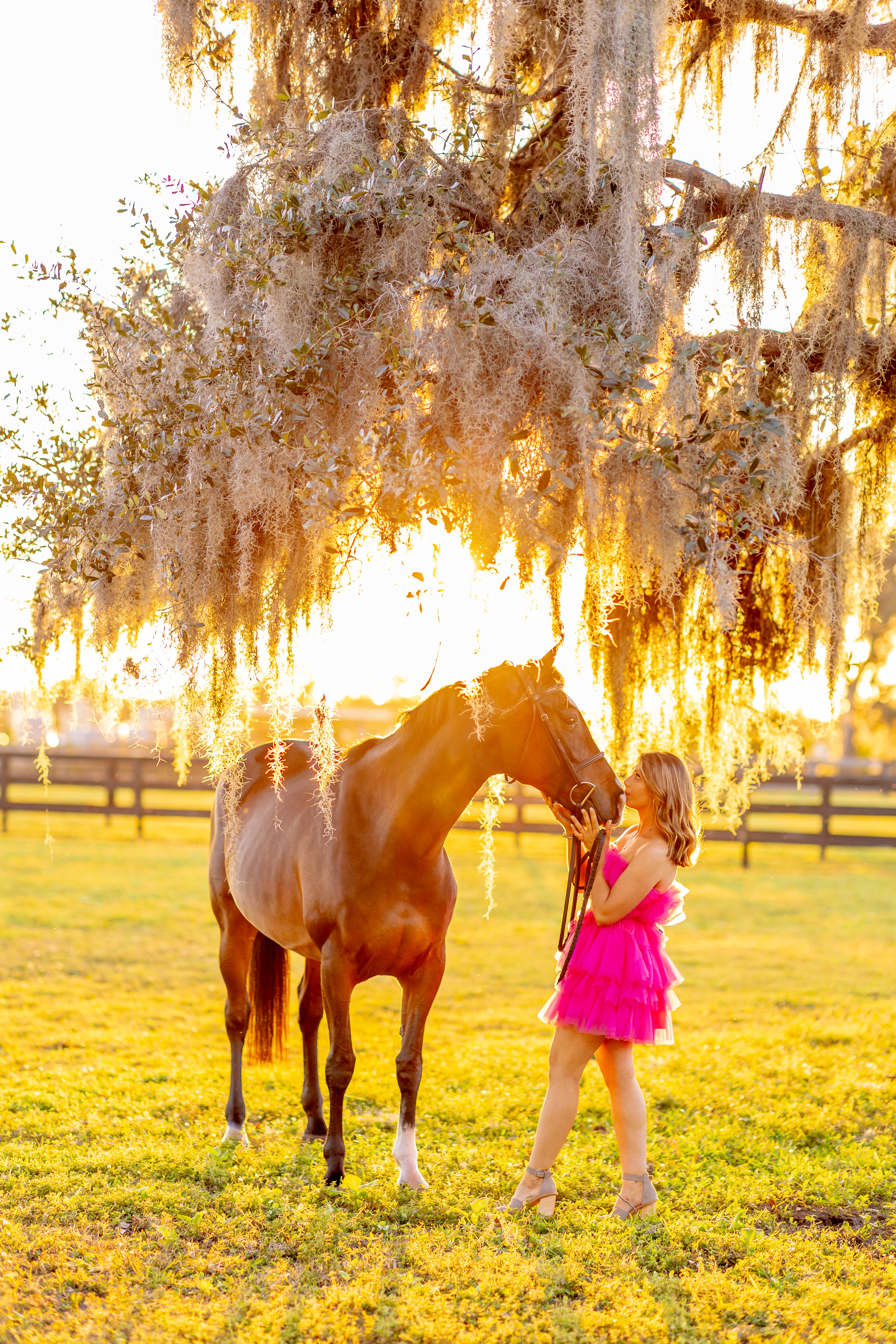 Equestrian portrait with horse and rider